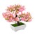 ﻿Bloeiend bonsaiboompje fuchsia 1