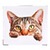 viva domo  Stopcontact-stickers  Max