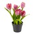 viva domo  Kunstplant Tulpen  roze