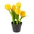 viva domo  Kunstplant Tulpen geel 1