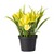   Kunstplant “Iris”  geel