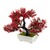 viva domo  Bloeiende bonsai "donkerrood" 1