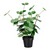 viva domo  Kunstplant “Eucalyptus” 1