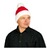 Kerstmuts met baard 5