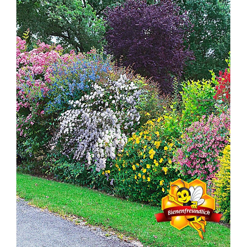 Garten 2000 Weiche : Garten 2000 Mehr Gmbh Co Kg Blumen ...
